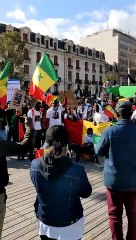 FreeSenegal: Grand rassemblement à Toulouse