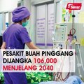 Pesakit buah pinggang dijangka 106,000 orang menjelang tahun 2040