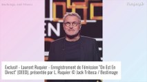 Laurent Ruquier prêt à défendre les LGBT mais opposé à la GPA : 