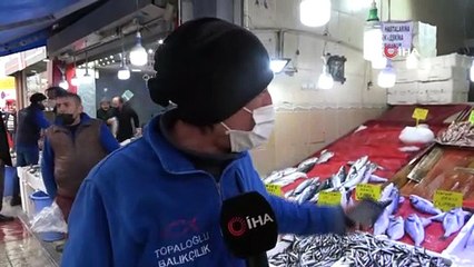 Tezgahlarda 'palamut' sürprizi