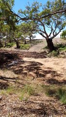 Greenough River Finally Flows After Three Years