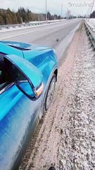 Frozen Owl Rescued from Roadway