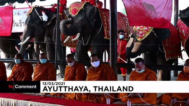 Ταϊλάνδη: Εθνική Ημέρα Ελέφαντα