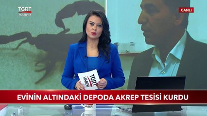 Evinin Altındaki Depoda Akrep Tesisi Kurdu