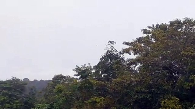 Embraer 195 PR-AJU na aproximação final antes de pousar em Manaus vindo de Santarém