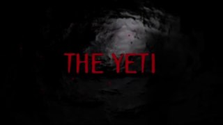 The YETI