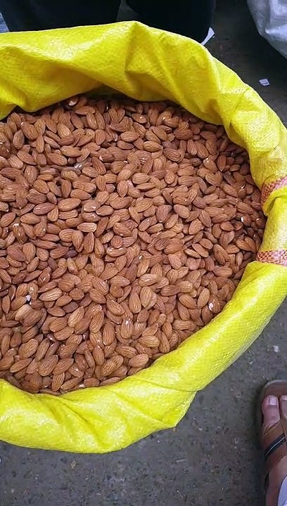 Fresh Almonds