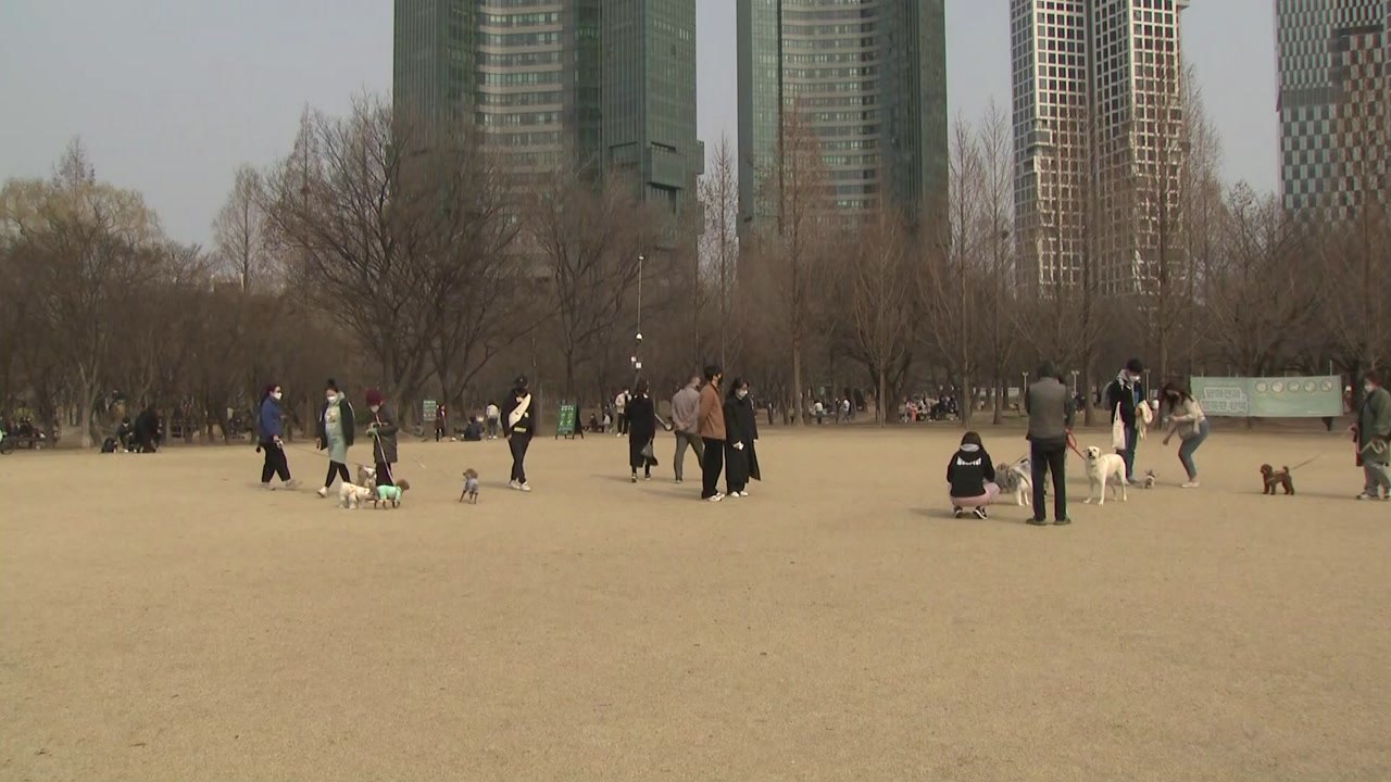 [날씨] 포근하지만 미세먼지...수도권 미세먼지 예비저감조치 / YTN