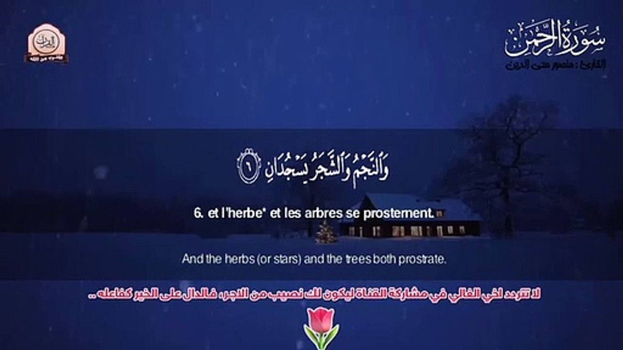 سورة الرحمن تلاوة لكل من أحزنت الدنيا قلبه _ املأ قلبك طمأنينة  ( 360 X 640 )