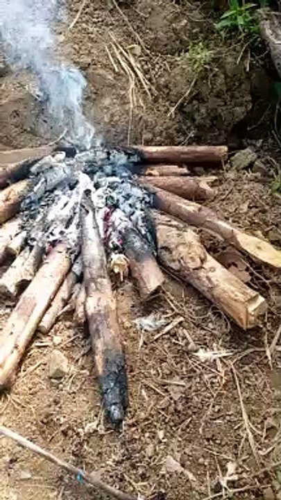 Firewood