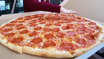 The best pizza in every state, from pepperoni in New York to giant slices in Nevada