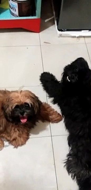 mga pogi at ganda