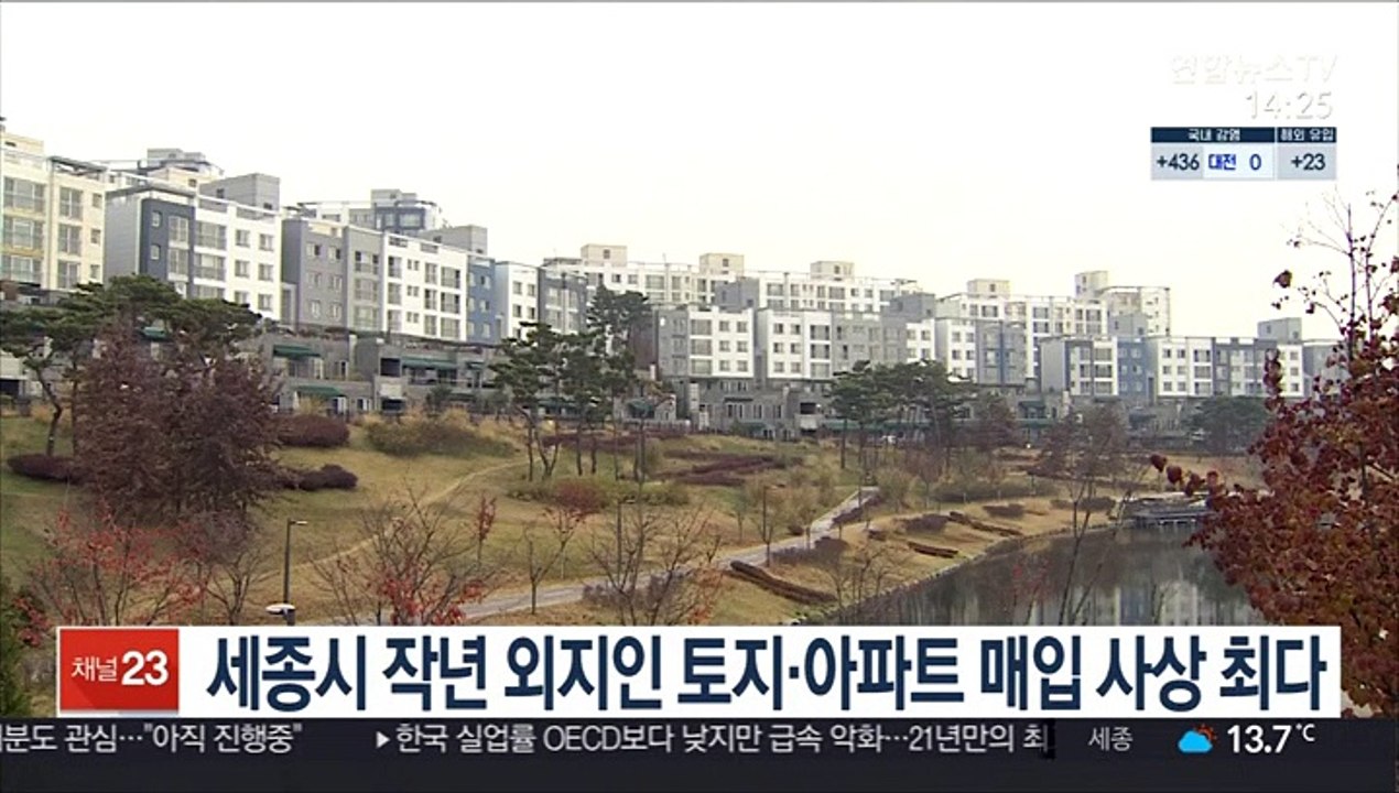 세종시 작년 외지인 토지·아파트 매입 사상 최다