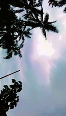 CHILL MUNA KEHKK