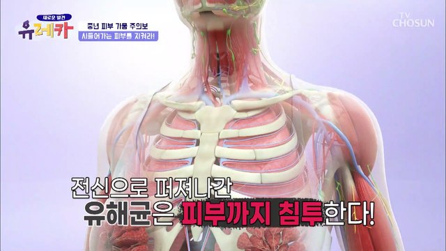 피부 건강 사수! 피부개선에 도움 주는 ’피부 유산균 HY7714’ TV CHOSUN 20210314 방송