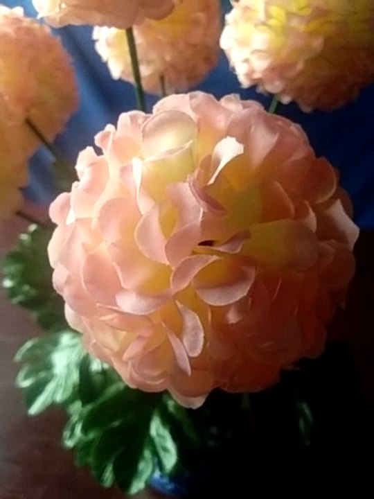flower display