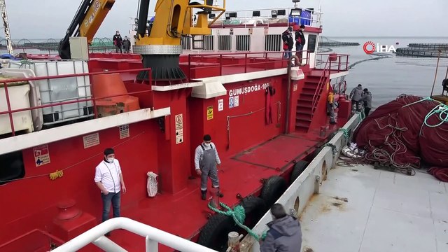 Türk somonu dünyada adından söz ettiriyor