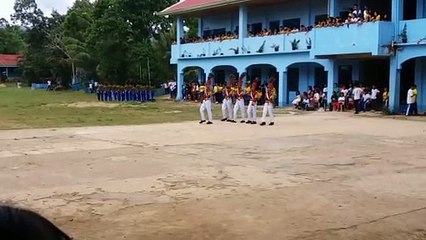 free tactical virgen del pilar