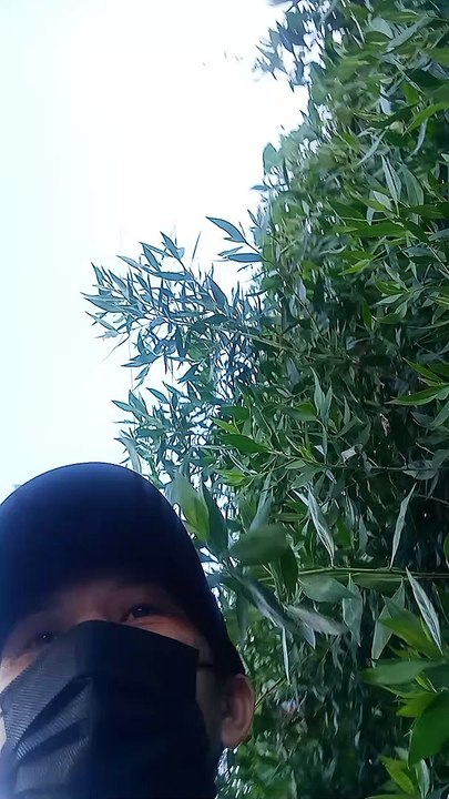 going grocery