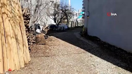 Samsun’da odun keserken boynundan yaralanan genç hayatını kaybetti