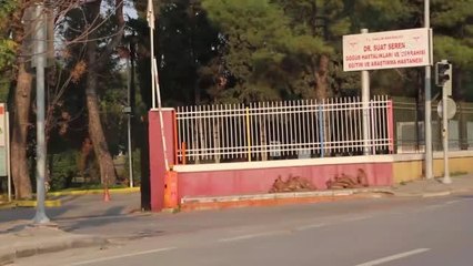 Son dakika haberleri! Bir hastanede sağlık çalışanları, ailelerinden gelen sürpriz mesajlarla duygulandı