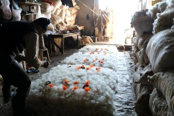 Son keçeciler zamana meydan okuyor