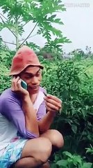 Isn't Amazing, Isn't?