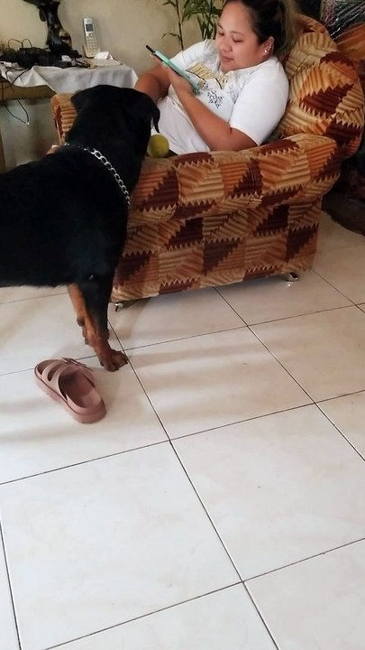 play time