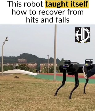 Real-life scenarios can be challenging, which is why a truly autonomous robot must learn to adapt to them by itself.