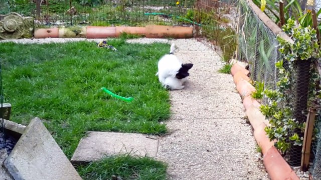 Profitons du beau temps !!