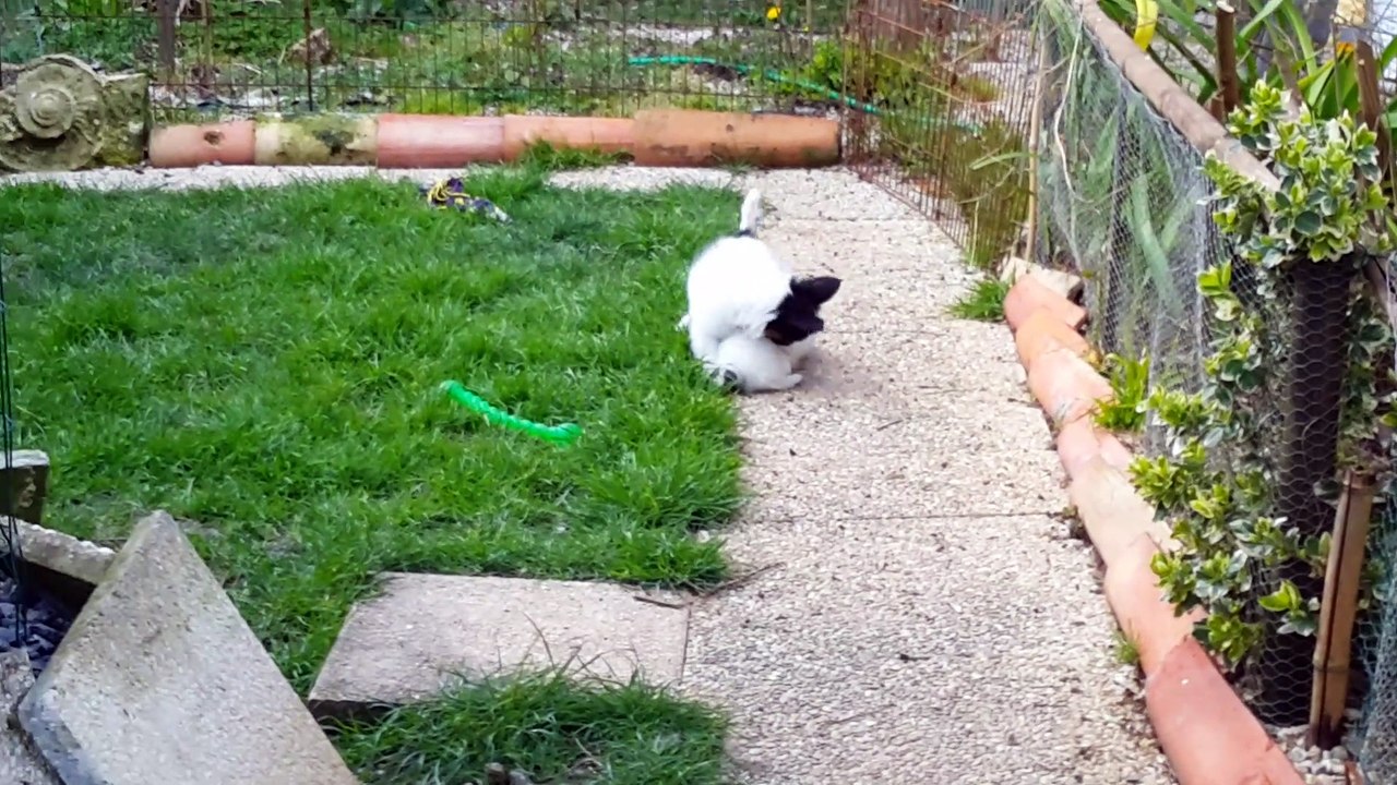 Profitons du beau temps !!