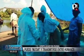 Rusia: gripe aviar detectada en granjas puede mutar y transmitirse a humanos