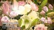 Flowers Will Bloom - Hana wa Saku - Multilingual Version - NHK World TV