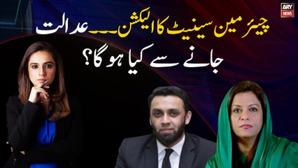 Chairman senate election, can be challenged in court or not?