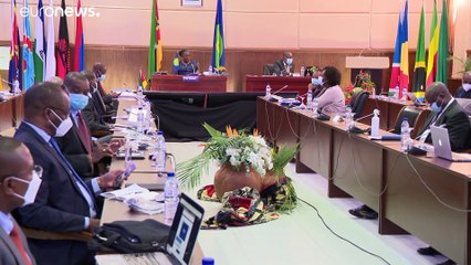 Países da África Austral acertam estratégias comuns