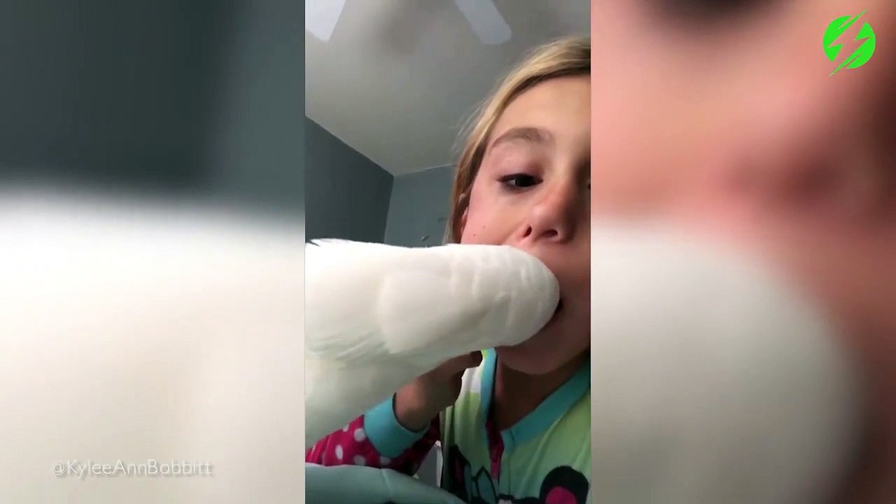 Ce perroquet est un très bon dentiste... arracheur de dents