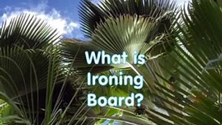 What is the Ironing board?