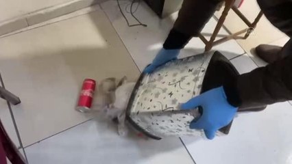 İş yerinde kumar oynayan 9 kişiye 67 bin 388 lira ceza kesildi