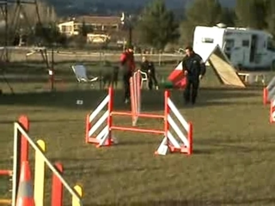 Agility Aubagne Fredo Jumping