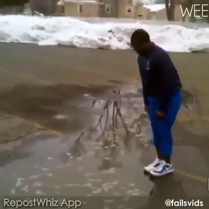 funny videos