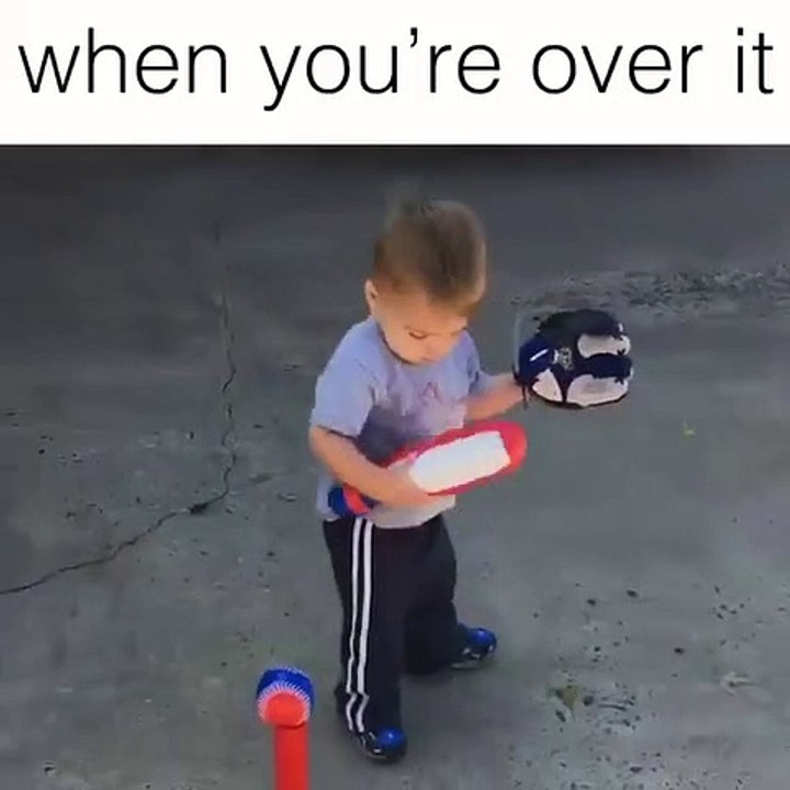 funny videos
