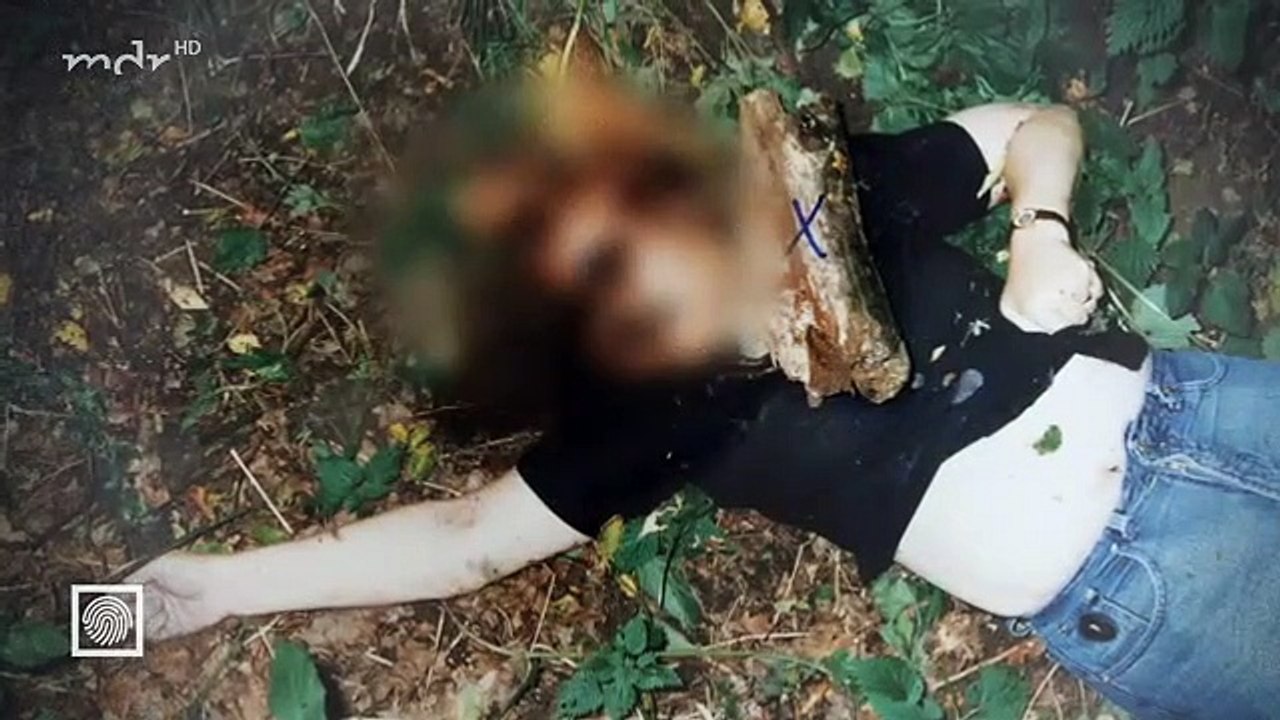 Tätern auf der Spur Der Mörder und die Ameise A