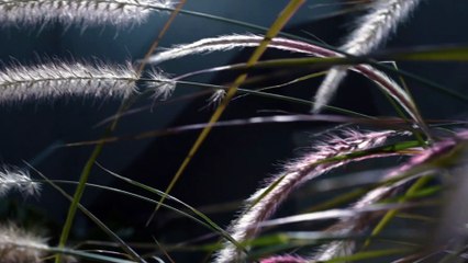 إبداعات همسة..تصاميم كويتية معاصرة ممزوجه بعبق التراث الخليجي