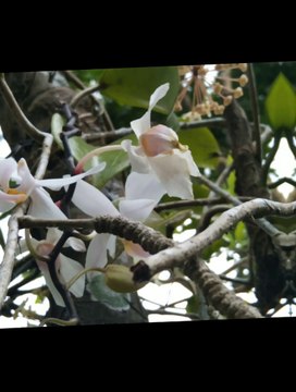 Editing part 2 (my own work)