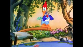 Woody Woodpecker Pantry Panic/Full Episode /Upscaled to 4K / Enhanced Color