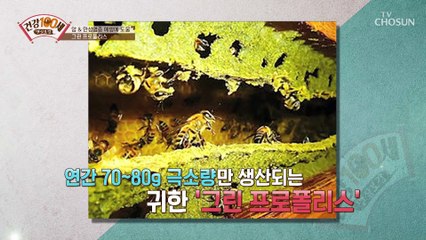 만성 염증 타파! 극소량만 생산되는 『그린 프로폴리스』 TV CHOSUN 210315 방송