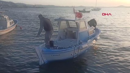 BALIKESİR Ayvalık'ın sembol lezzeti; Karadiken