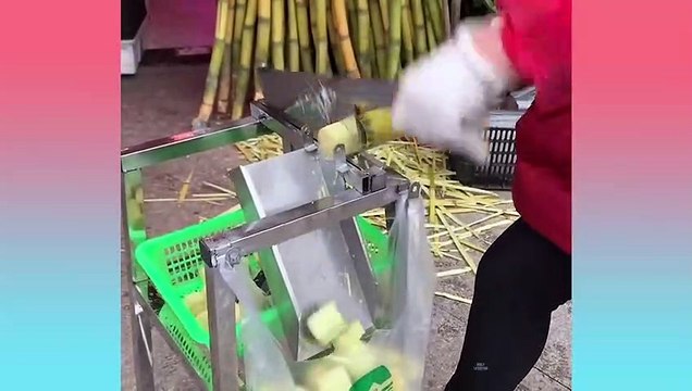 Satisfied Video To Make Relax Your Mind - Satisfied Mind