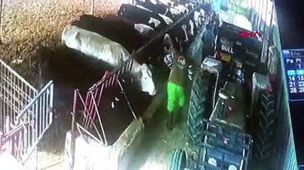 Aşı yapılacak büyükbaş hayvanlar, panikleyince demiri söküp, duvarı yıktı