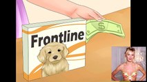 Apply Frontline